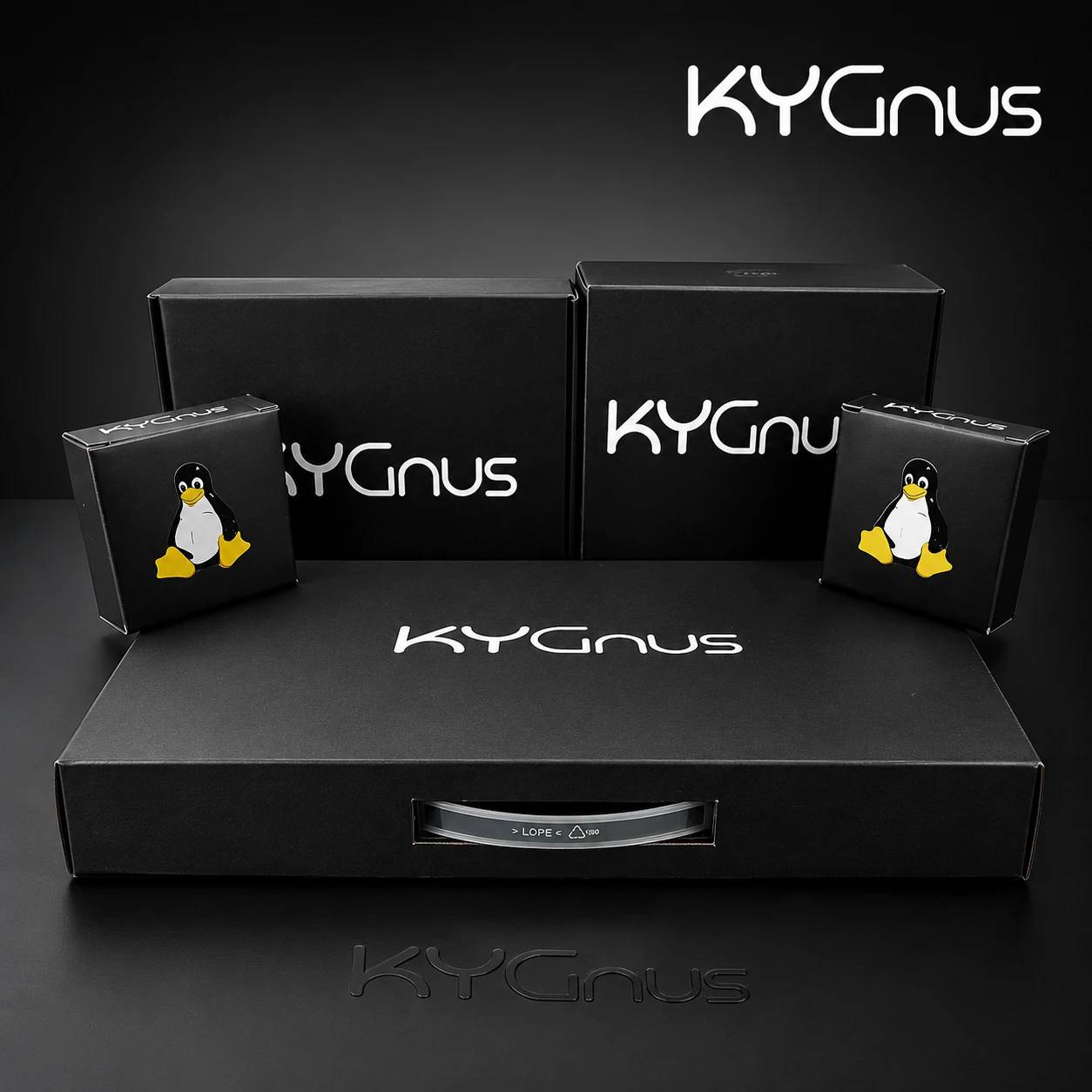 KYGnus Workstations