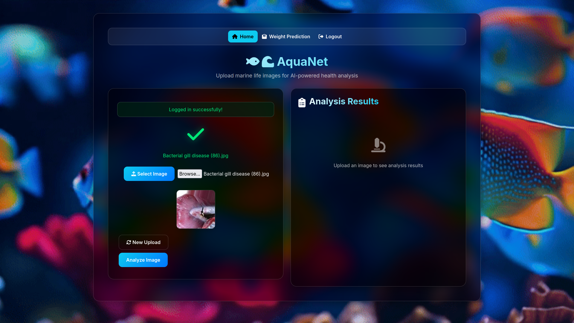 Image Upload Interface