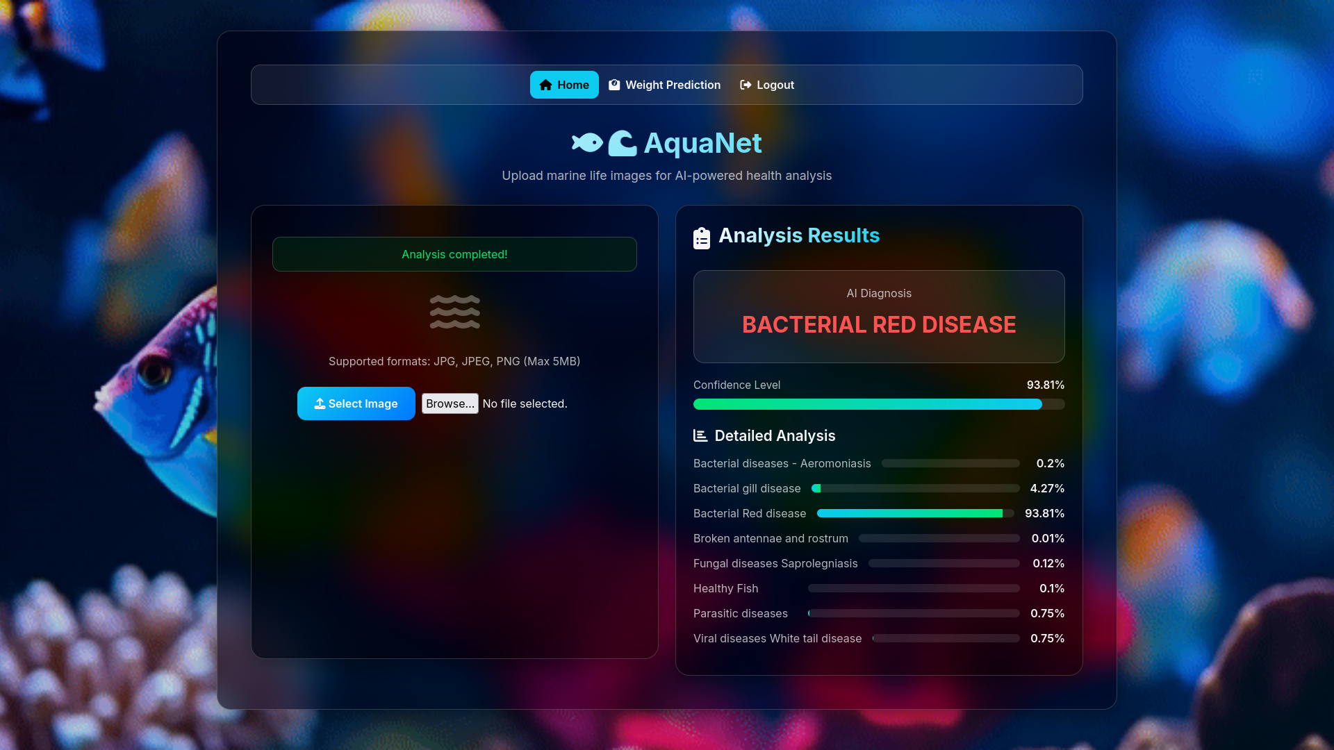 Disease Classification Results